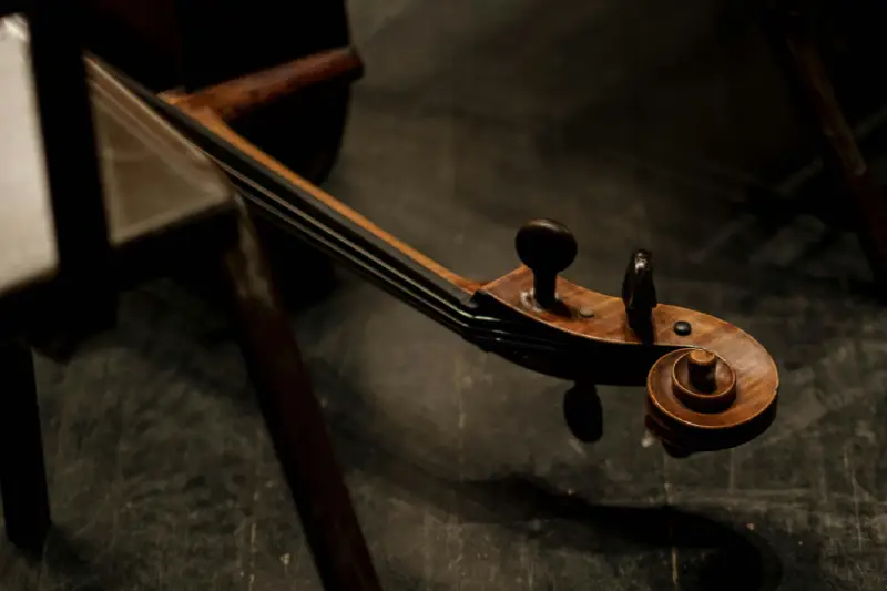 Reparación de Violonchelo en Málaga